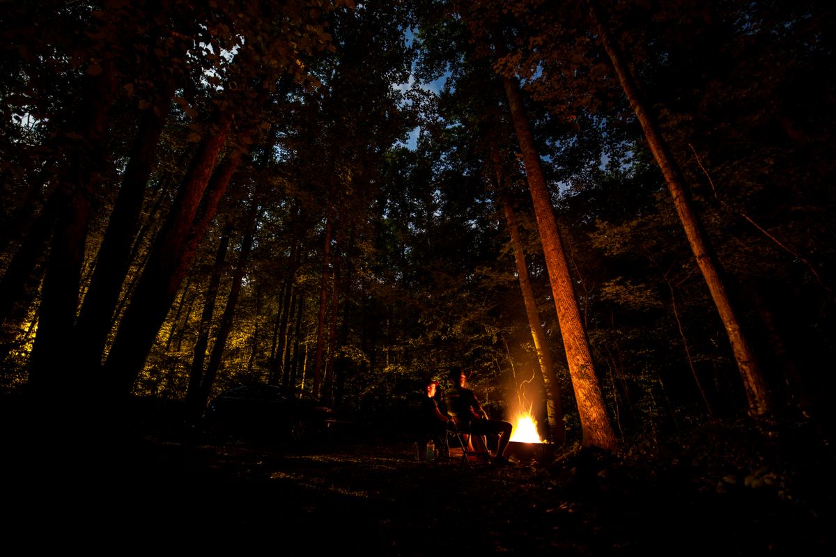 Campers around a campfire in tall woods at dusk